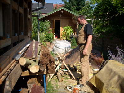 Beseitigung von Holzschaden
